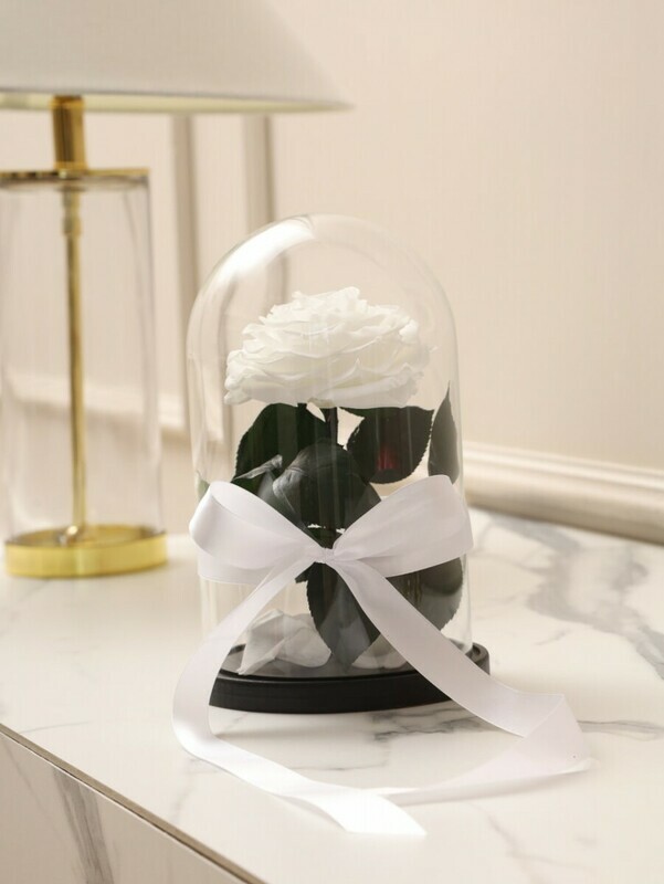 Роза в колбе XL белая, роза в колбе xl белая