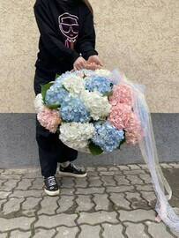 Микс гортензий в корзине