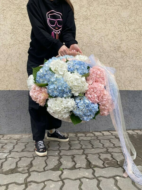 Микс гортензий в корзине, микс гортензий в корзине