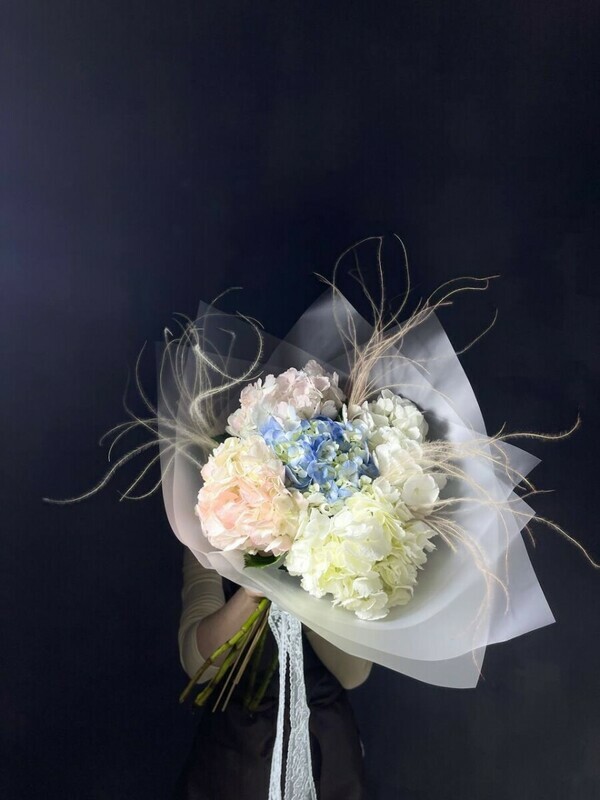 5 гортензий микс, 5 гортензий микс