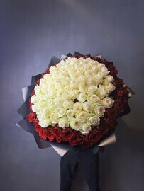 101 красно-белая роза