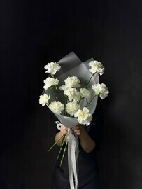 13 белых диантусов