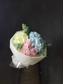 Гортензия микс