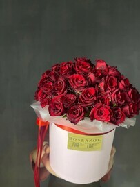 51 krasnaya roza v korobke