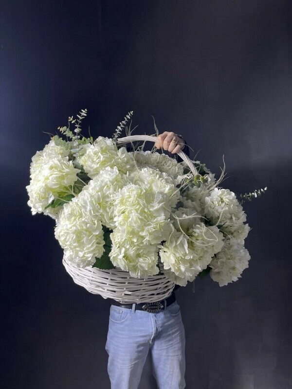 Белая гортензия в корзине, белая гортензия в корзине