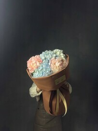 5 гортензий микс 