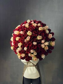 151 красно-белая роза