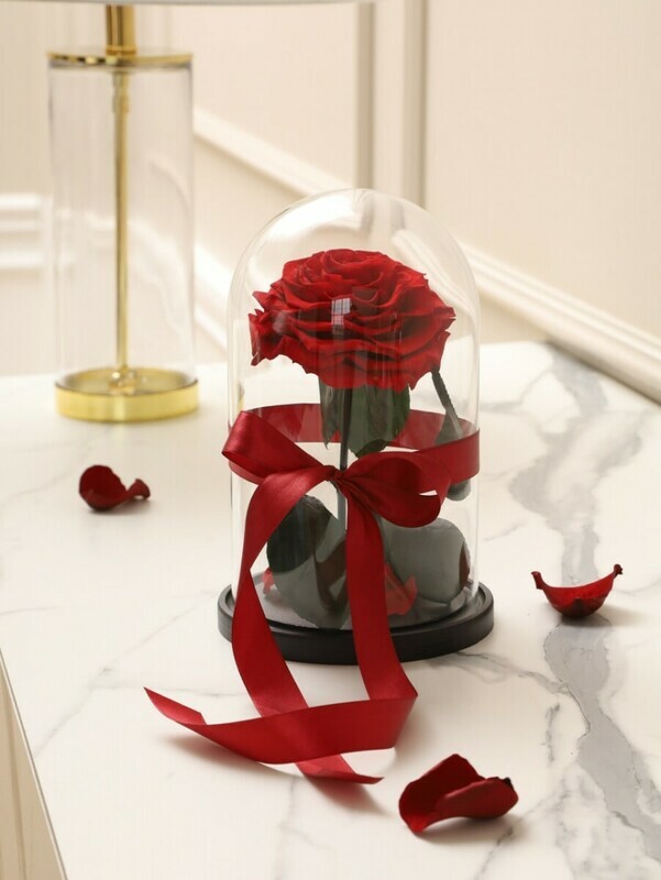 Роза в колбе XL красная, роза в колбе xl красная