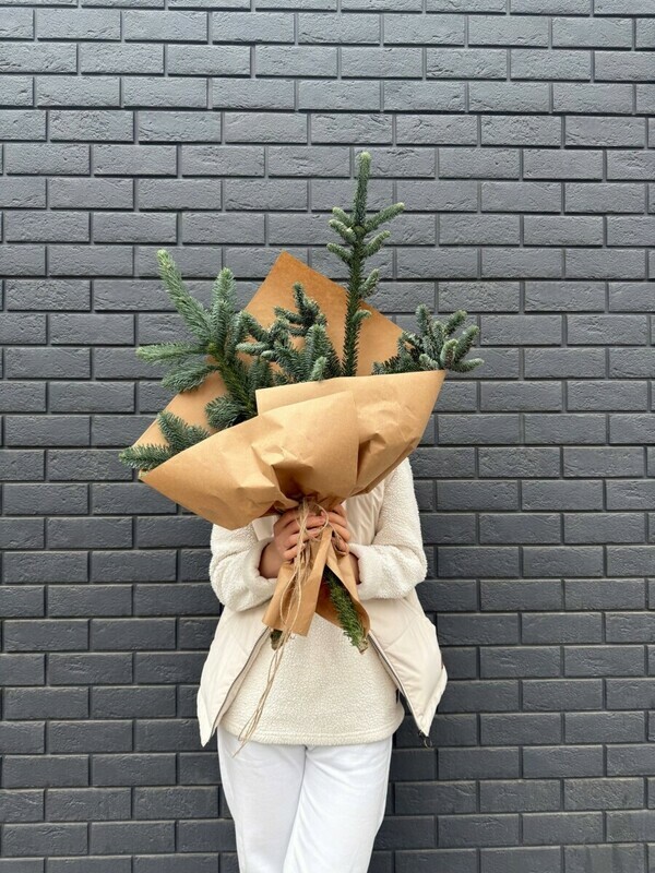 Нобилис, нобилис