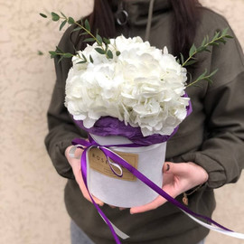 Hydrangea in a hat box