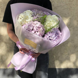 Mono-bouquet of 5 hydrangeas