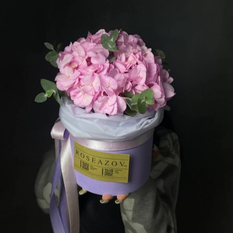 Гортензия в коробке, гортензия в коробке