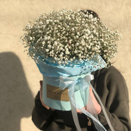 Gypsophila in a box