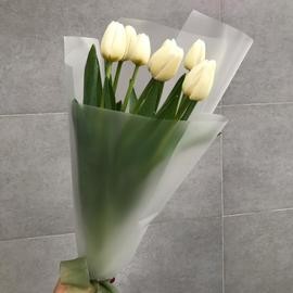 Комплимент