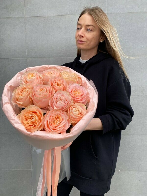 "Printcessa", standart