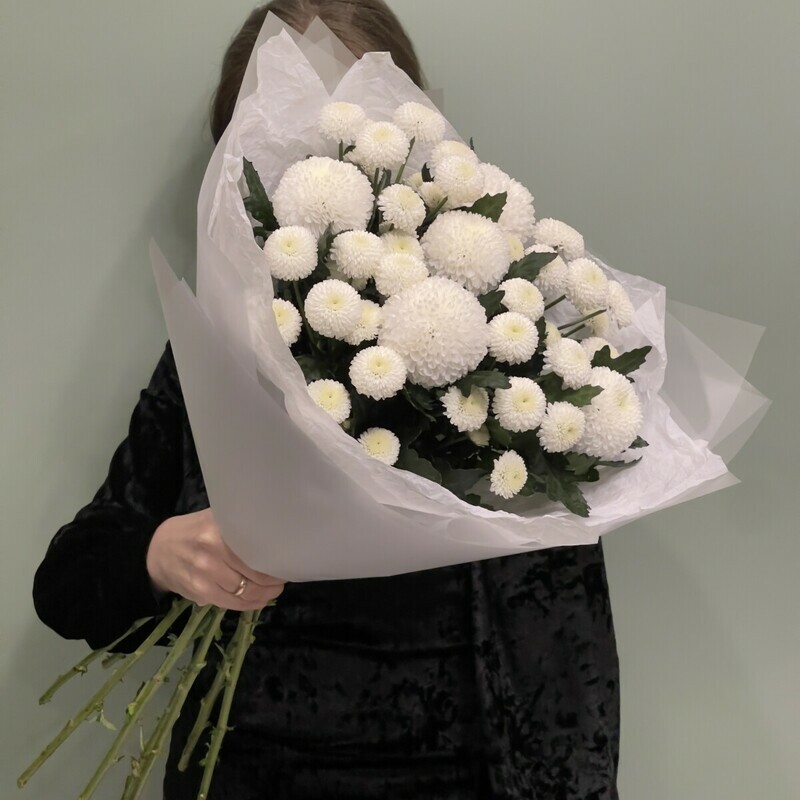 Букет из премиум хризантем момоко и ньютон , премиум