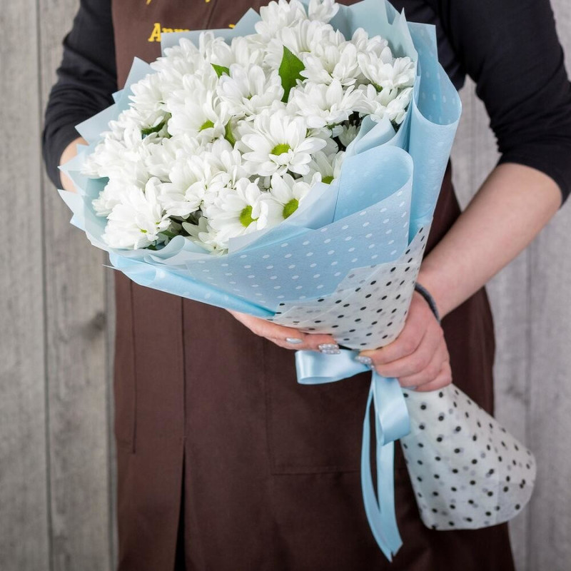 Buket iz 7 hrizantem Bakardi, standart