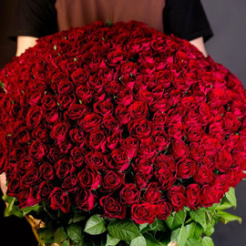 251 Рубиновая Роза в корзине