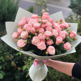 Нежное начало