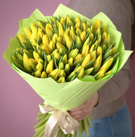 101 solnechnij tyul_pan