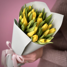 25 solnechnih tyul_panov