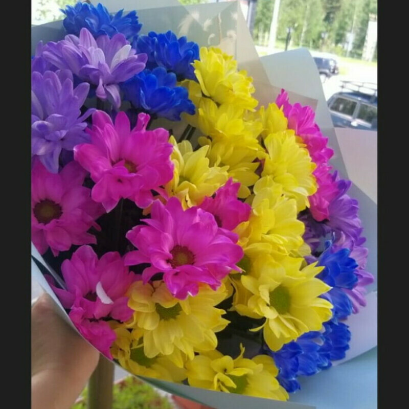 Хорошее настроение, стандартный