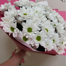 Ромашковое настроение