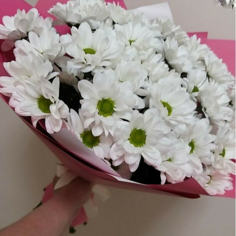 Ромашковое настроение, стандартный