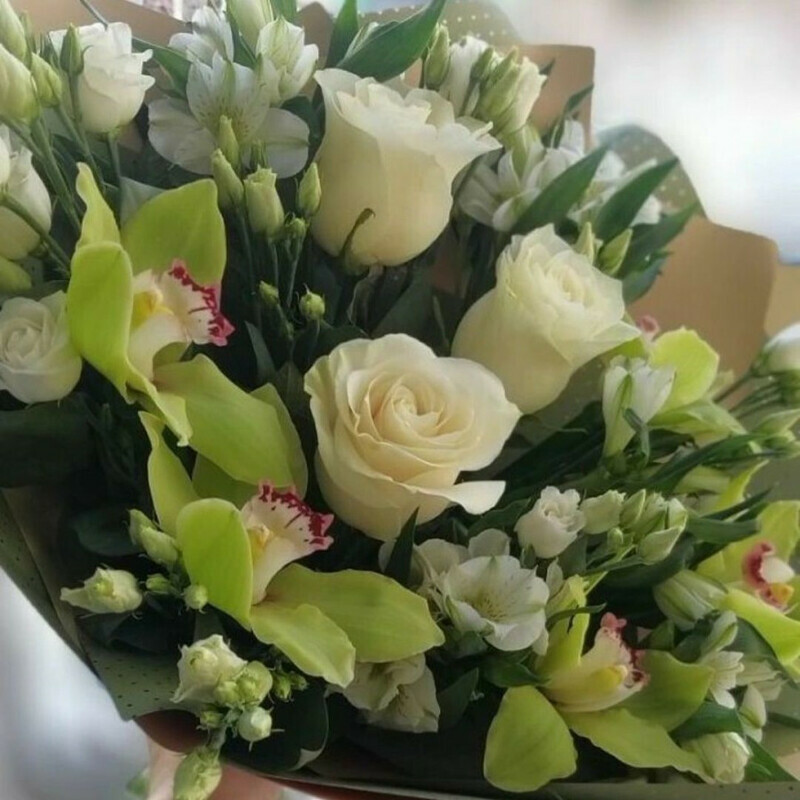 Madzhestik, standart