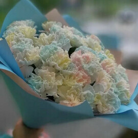 Очаровательные гвоздики