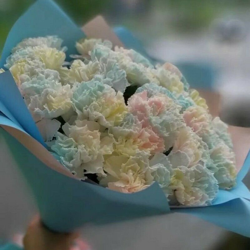 Ocharovatel_nie gvozdiki, standart