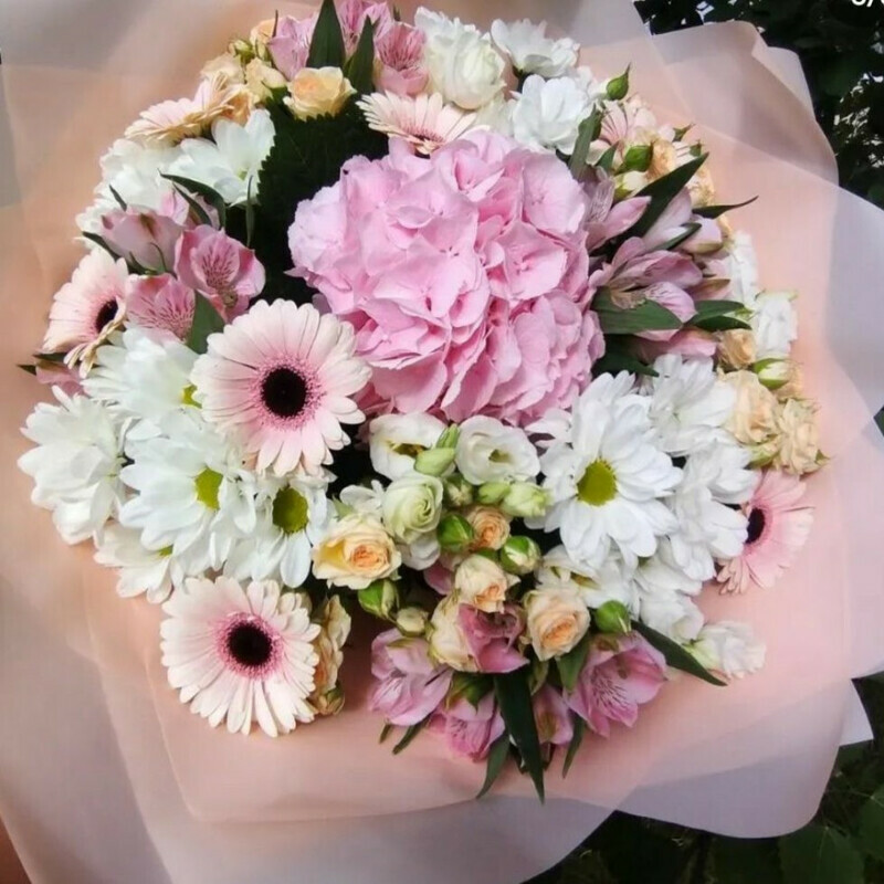 Нежный сон, стандартный