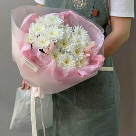 Нежная хризантема