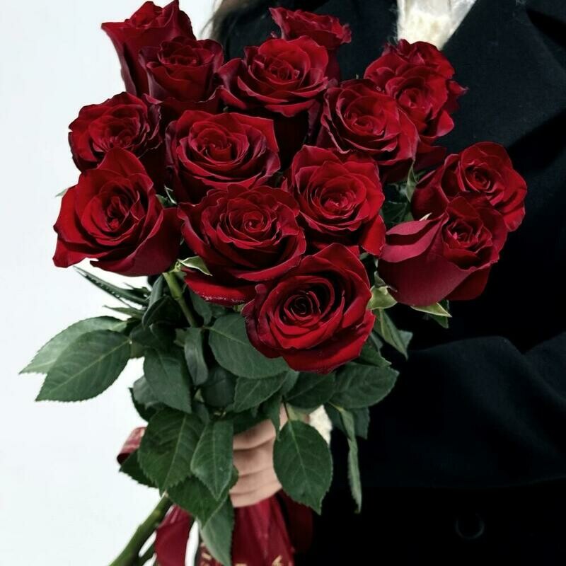 Podarok roz, standart