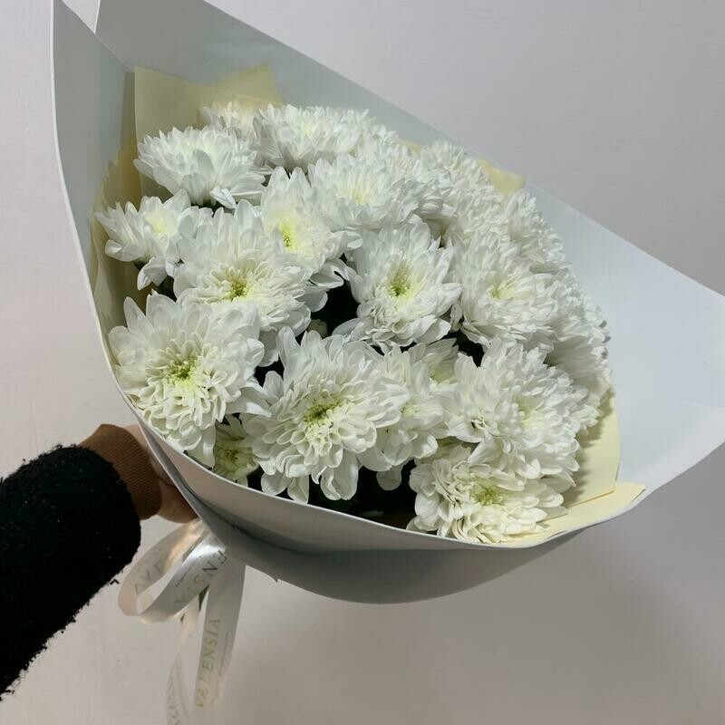 Букет хризантем балтика, стандартный