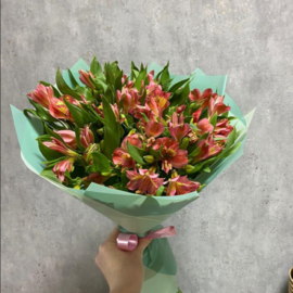 Теплые мгновения