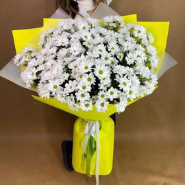 Romashkovaya lyubov_