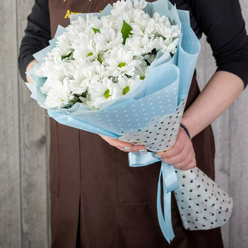 Buket iz 7 hrizantem Bakardi, standart