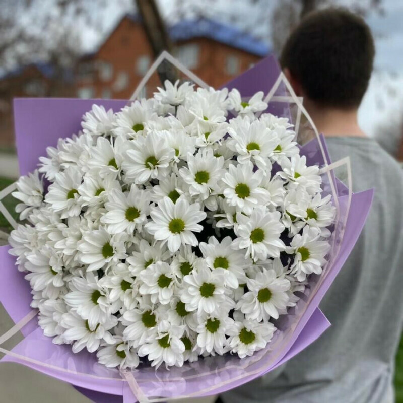 Букет-гигант из хризантем-ромашек, стандартный