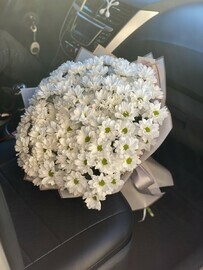 Облаков ромашек 