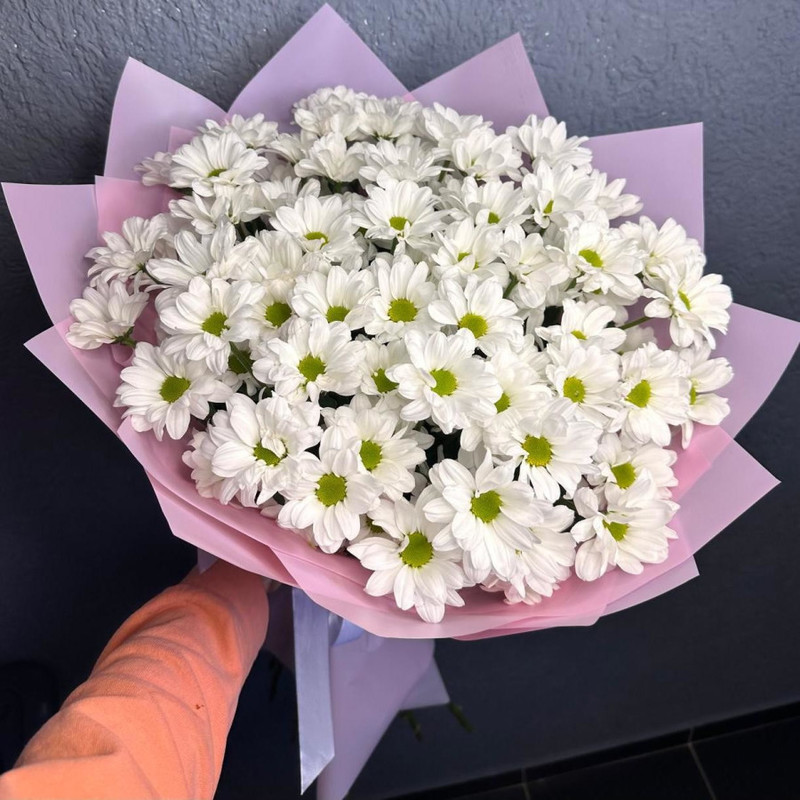 Ромашки, стандартный