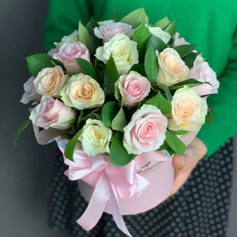 smell of freshness, standart