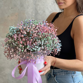 Радужная гипсофила в коробке