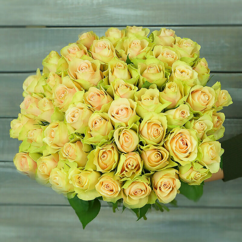 51 zeleno-rozovaya roza Keniya 40 sm., standart