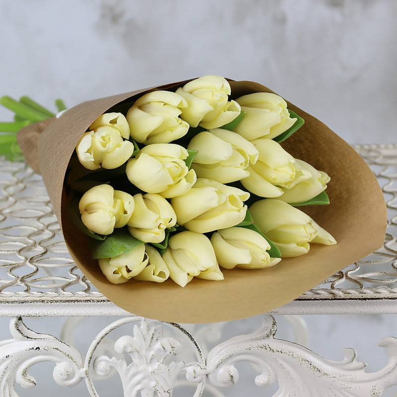 15 belih tyul_panov v krafte, 15 tyul_panov