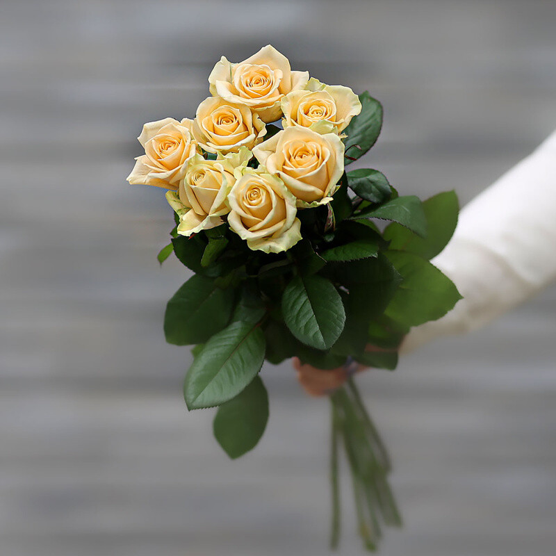 Buket iz 7 kremovih roz (Rossiya) s lentoj 60 sm, buket iz 7 kremovih roz (rossiya) s lentoj 60 sm