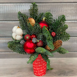 Новогодняя композиция в стакане №2