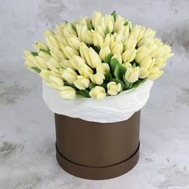 101 belij tyul_pan v shlyapnoj korobke