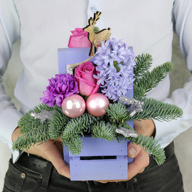 Novogodnyaya kompozitciya iz yolki, giatcintov, roz i gvozdik v yashike