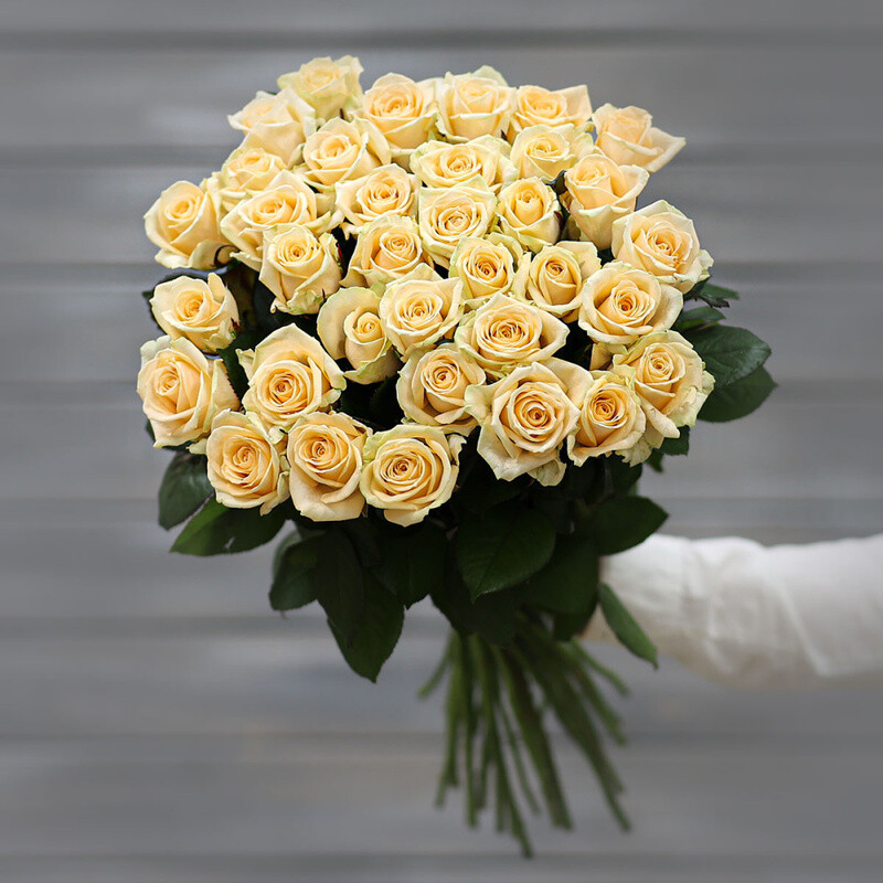 Buket iz 35 kremovih roz (Rossiya) s lentoj 60 sm, buket iz 35 kremovih roz (rossiya) s lentoj 60 sm